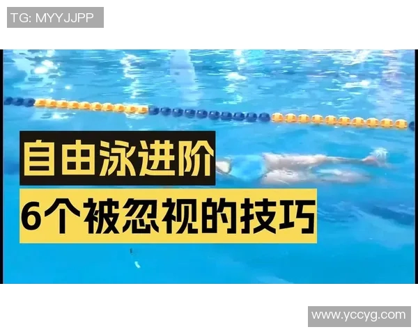 掌握游泳基本技巧 提升水中自信与技巧的全面指南