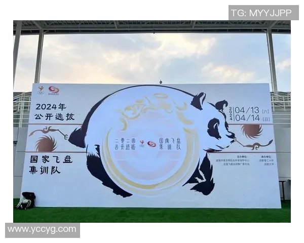 南京飞盘队逆袭之路：从挑战到辉煌的精彩反击解析