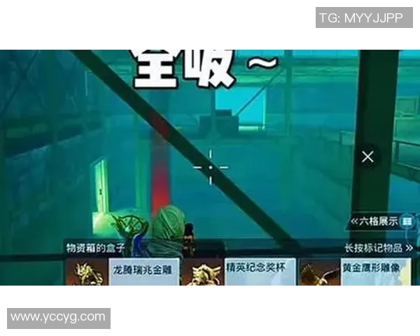 专访和平精英制作人吴静探讨游戏成功背后的秘密与未来发展方向