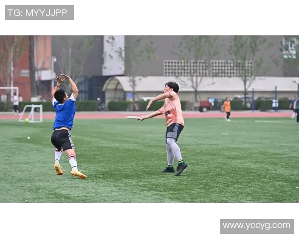 深圳飞盘队强势登顶最新飞盘力量排行榜前十名解析