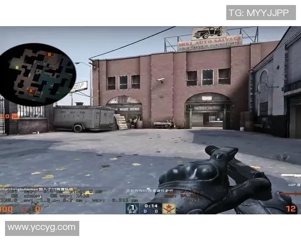 陈芳专访：从新手到高手的CSGO成长之路与心路历程回顾