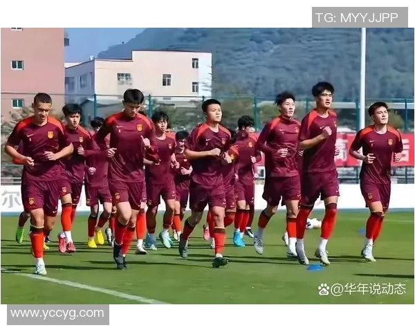 中国足球明星有哪些代表性人物及他们的成就与影响力分析
