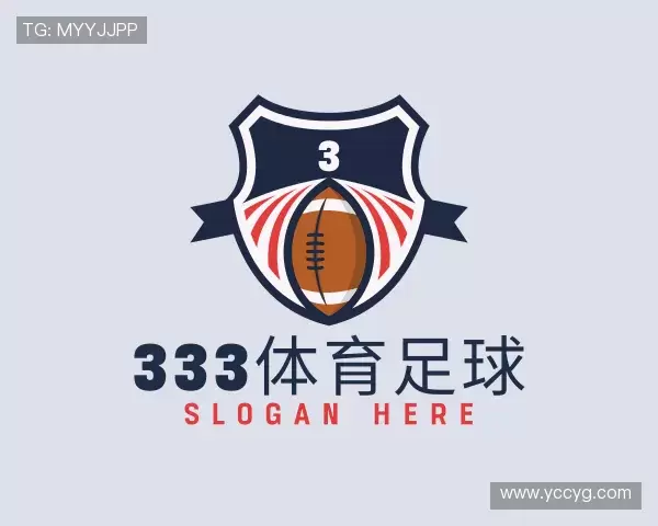 介绍333体育